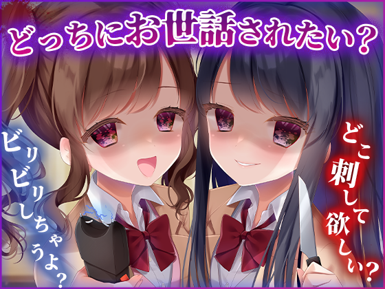 お兄ちゃんが好きすぎる双子妹は強○的にお世話したい のサムネイル